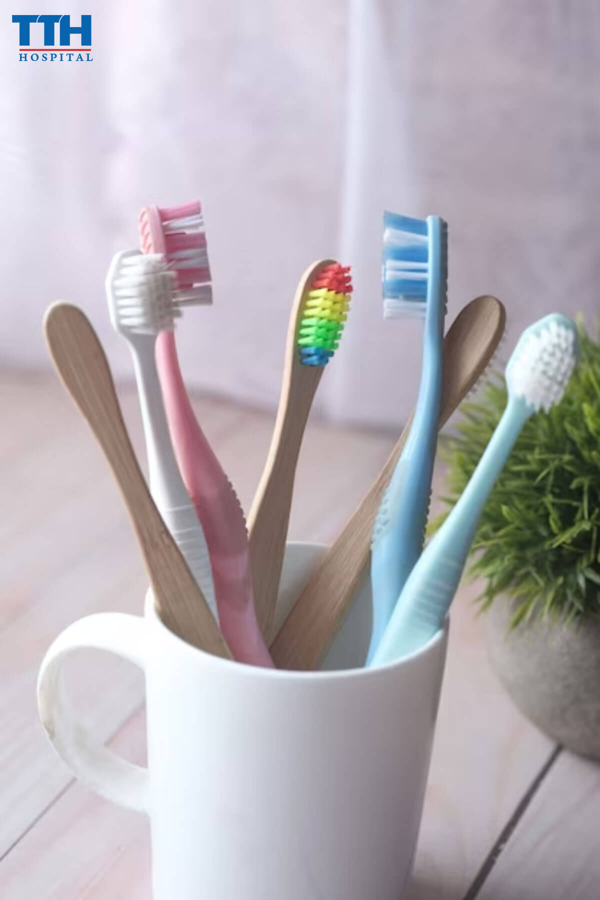 Sử Dụng Bàn Chải Răng Đặc Biệt Khi Đang Niềng Răng tại Vinh, Nghệ an